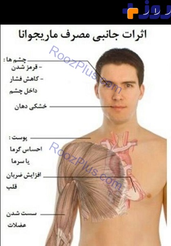 ماری‌جوانا با جوانان ما چه می‌کند؟