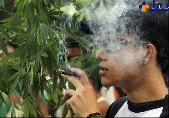 ماریجوانا با جوانان ما چه میکند؟ ماریجوانا با جوانان ما چه میکند؟