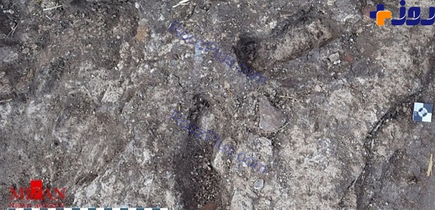 در مصر ردپاهای 3000 ساله کشف شد +عکس