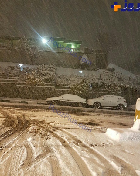 هم‌اکنون/ بارش برف در مناطق شمالی تهران شدت یافت