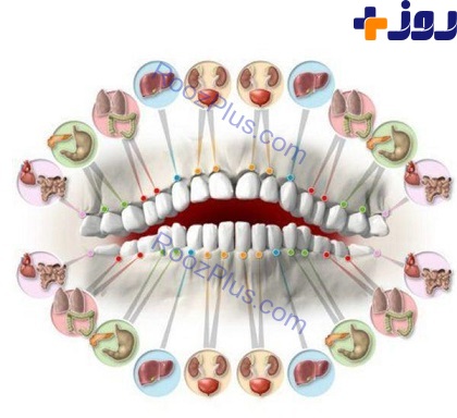 شکل و شمایل دندان‌ها شخصیت افراد را لو میدهند +تصاویر