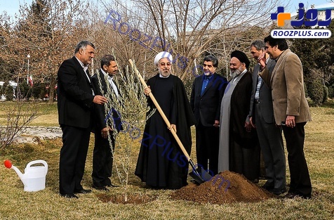 رئیس جمهور یک اصله درخت کاشت+عکس