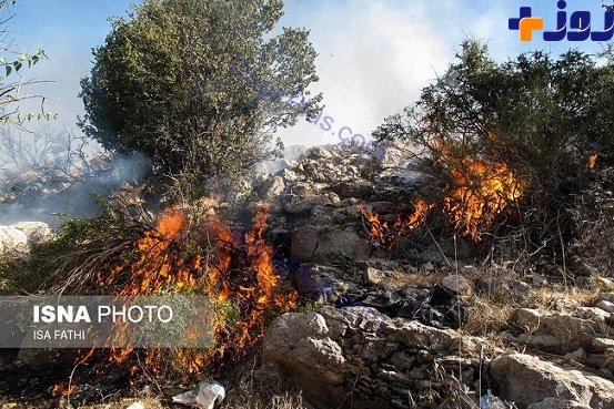 آتش سوزی در جنگل ها و مراتع دشتروم شهرستان بویراحمد