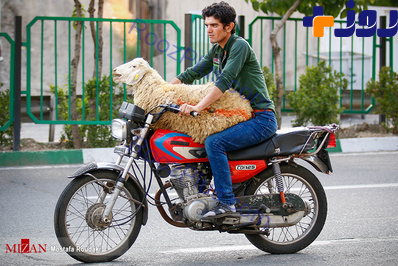 گزارش تصويری/محموله های بزرگ برای موتورسيكلت، از يخچال تا گوسفند