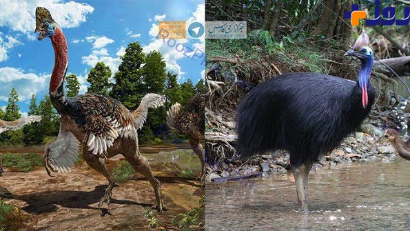 دایناسورهای جدید با شکلی عجیب کشف شدند+ عکس