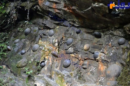 صخره سنگی اسرارآمیز که هر ۳۰ سال تخم می‌گذارد! +تصاویر
