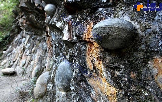 صخره سنگی اسرارآمیز که هر ۳۰ سال تخم می‌گذارد! +تصاویر