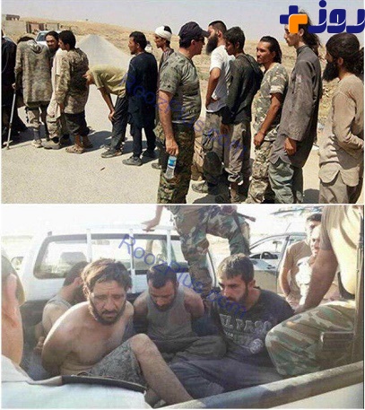 350 داعشی خود را تسلیم کردند+ عکس