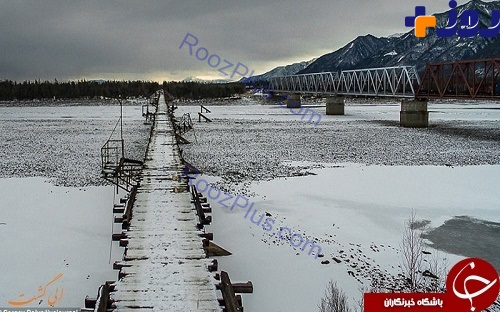 پلی مرگبار در روسیه +تصاویر