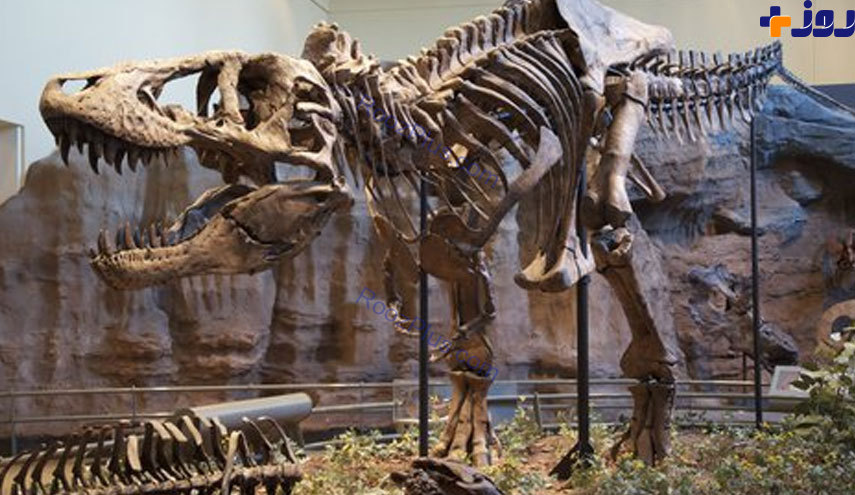 کشف ردپای دایناسور عظیم الجثه در آفریقا +تصاویر