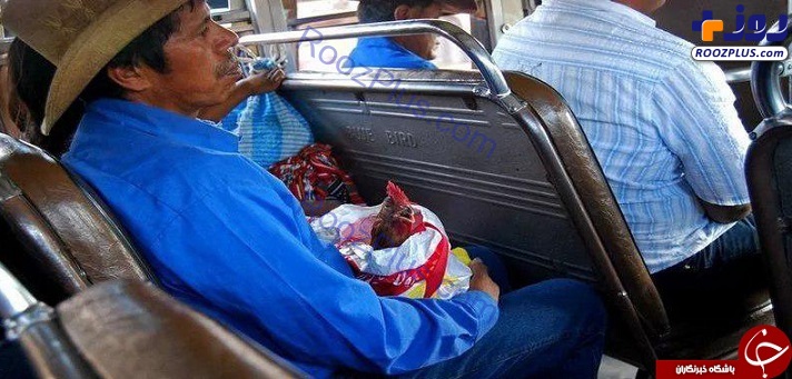 متفاوت ترین اتوبوس‌های دنیا در گواتمالا +تصاویر