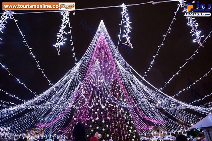 تصاویر:یکی از بزرگترین درخت های کریسمس دنیا