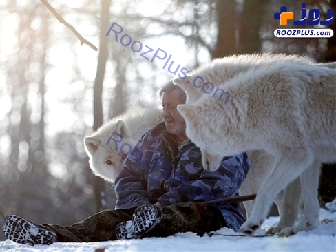 مردی که سال هاست با گرگ ها زندگی می کند! +تصاویر