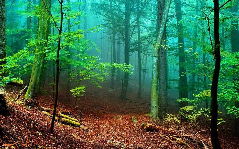 ضمیر ناخودآگاه خود را با طبیعت بکر بشناسید + تست روانشناسی ضمیر ناخودآگاه خود را با طبیعت بکر بشناسید + تست روانشناسی