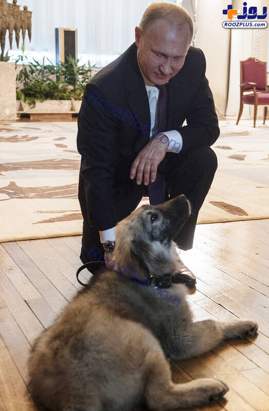 هدیه رئیس جمهور صربستان به پوتین+عکس