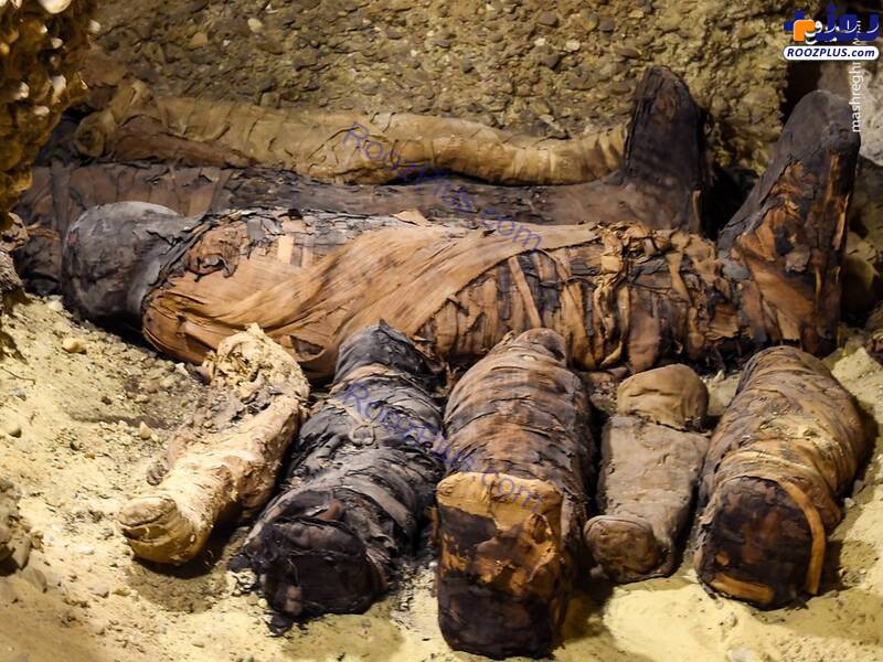 کشف ۵۰ مومیایی در مصر +عکس