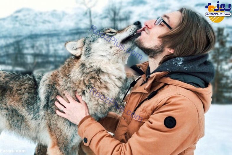 سالگرد ازدواج کنار گرگ‌ها! +عکس