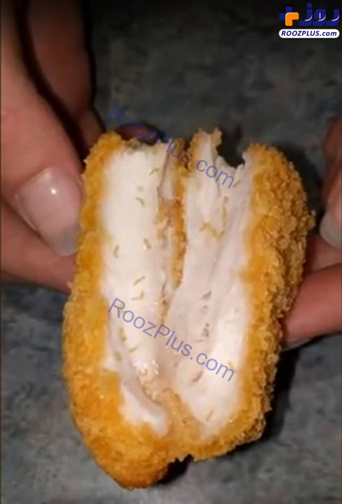 پیدا شدن کرم های زنده درون مرغ سوخاری+عکس