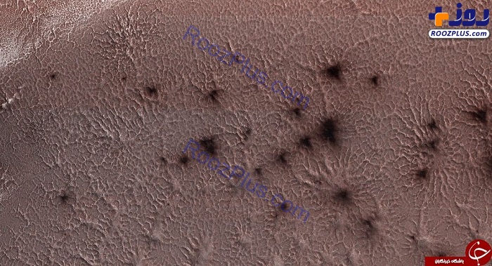 عکس/ عنکبوت‌های سیاه در مریخ