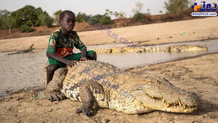 دوستی پسر بچه با یک تمساح+عکس