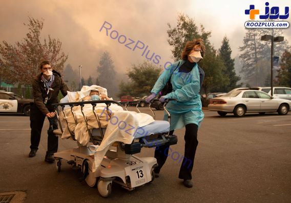 گردباد آتش در کالیفرنیا +تصاویر