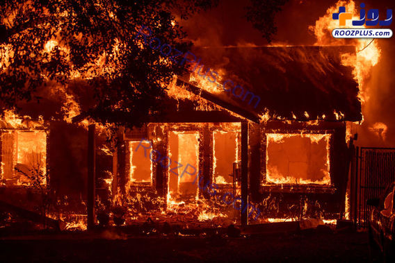 گردباد آتش در کالیفرنیا +تصاویر