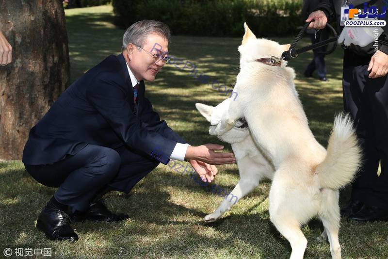 عکس/ هدیه رهبر کره شمالی به رئیس جمهور کره جنوبی