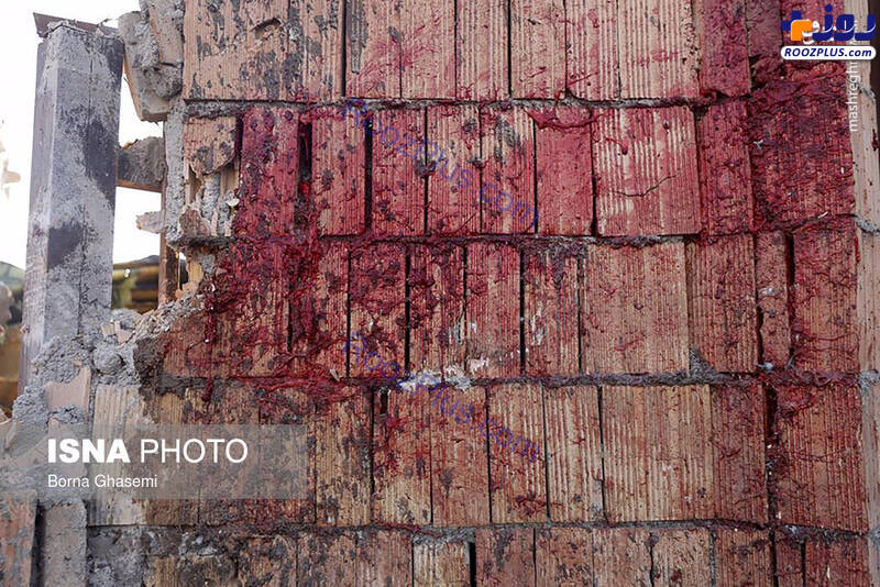 اجساد مسافران هواپیمای سانحه دیده اوکراینی/عکس
