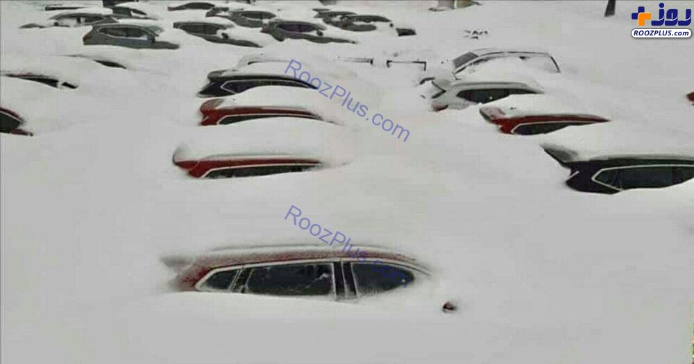 عکس/غرق شدن خودروها در برف پیرانشهر