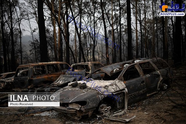 جنگل های سوخته استرالیا +عکس