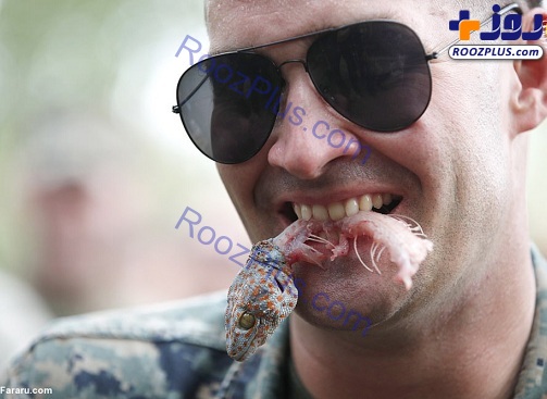 خوردن خون مار کبرا، عقرب و رتیل توسط سربازان آمریکایی+عکس