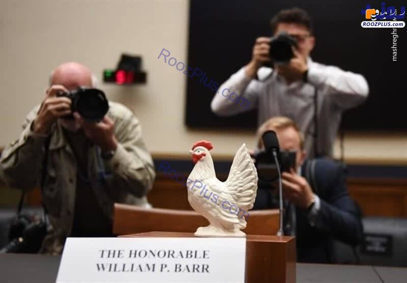 عکس/ قرار دادن مجسمه مرغ در جایگاه دادستان آمریکا!
