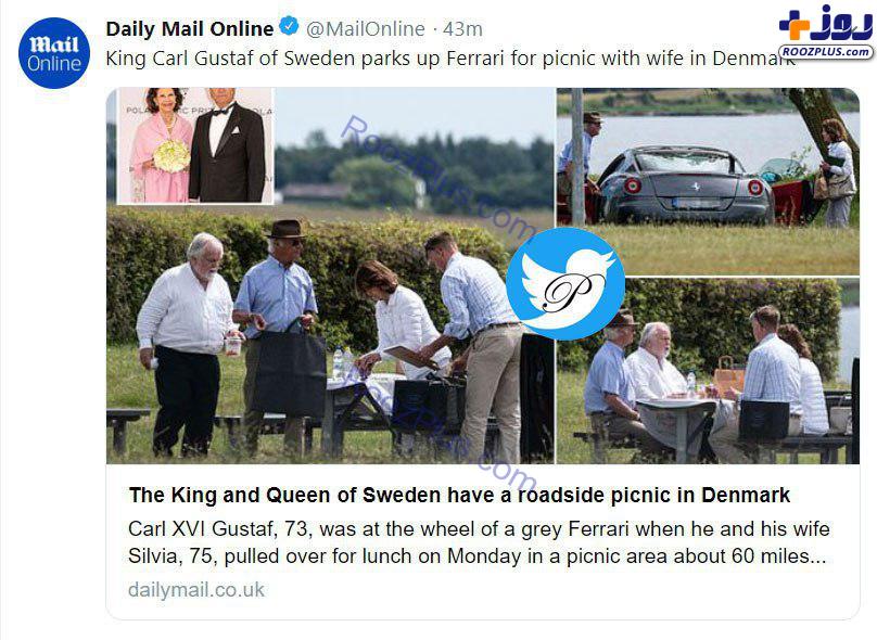 پیک نیک پادشاه سوئد و همسرش در کنار یک مزرعه!/عکس