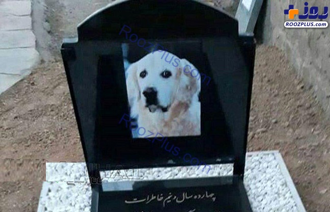 مراسم لاکچری برای خاکسپاری یک سگ در مسجد سنگر رشت! + عکس