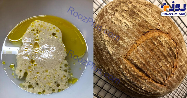 پخت نان تازه با مخمر ۴۵۰۰ ساله! +تصاویر