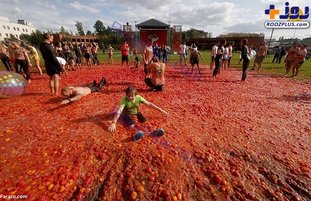 نابودی ۲۰ تُن گوجه فرنگی در یک جشن!+عکس
