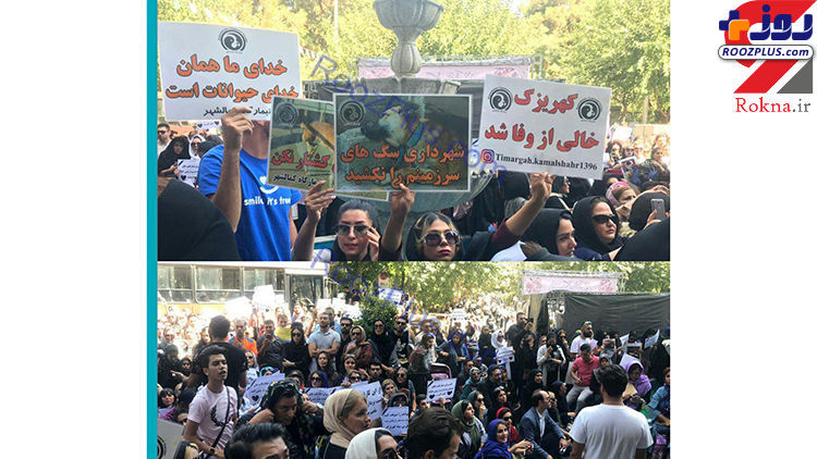 دستگیری تجمع کنندگان مقابل شهرداری تهران/عکس
