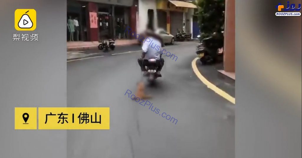 اقدام وحشیانه دو موتورسوار با سگ در خیابان! +عکس