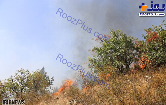 عکس/ ارسباران همچنان در آتش می‌سوزد