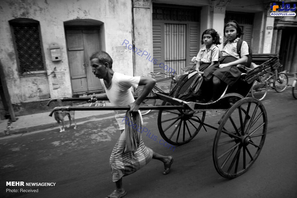 عكس/آخرین نسل درشکه های هندی
