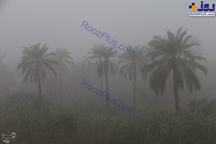 عکس/ مه گرفتگی شدید در آبادان