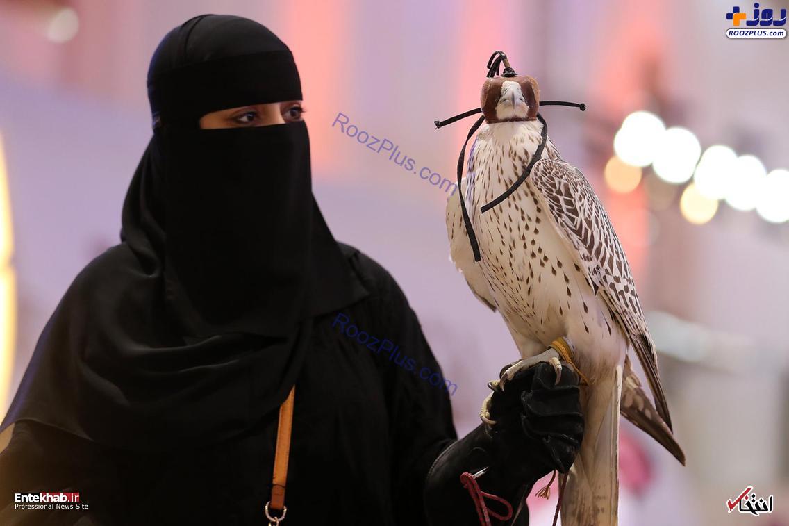 شاهین شکاری در دستان یک زن عربستانی +عکس