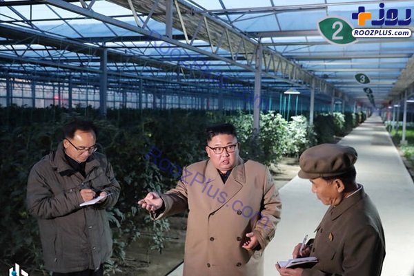 عکس/ بازدید رهبر کره شمالی از یک گلخانه