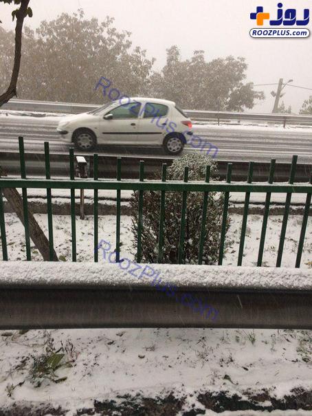 برف پاییزی تهران را قفل کرد +تصاویر