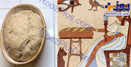 دانشمندی که با مخمر ۴۵۰۰ ساله نان پخت+تصاویر