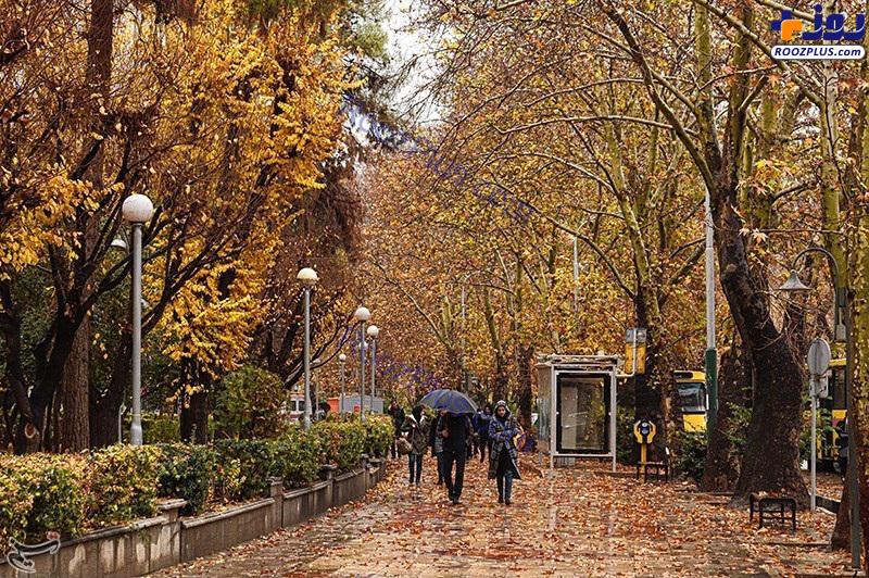 تصاویری زیبا از پاییز تهران