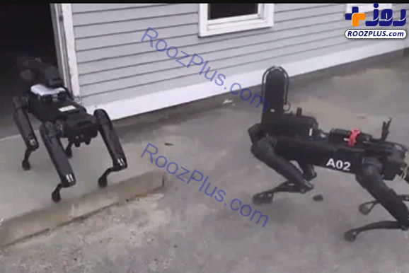 استفاده پلیس آمریکا از سگ رباتیک+عکس