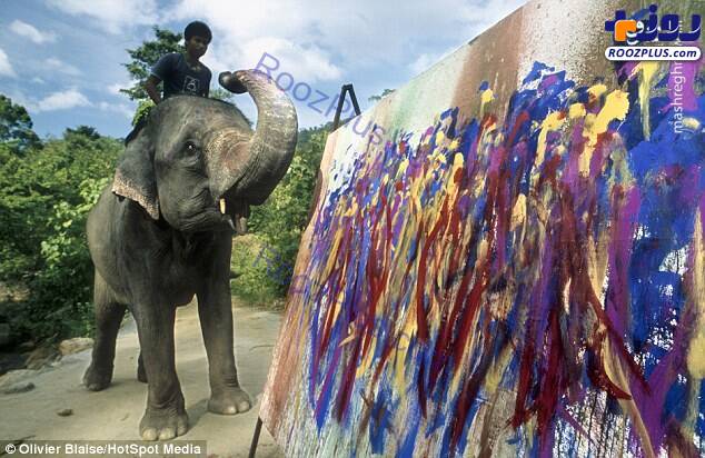 فیل‌هایی که نقاشی می‌کشند+عکس