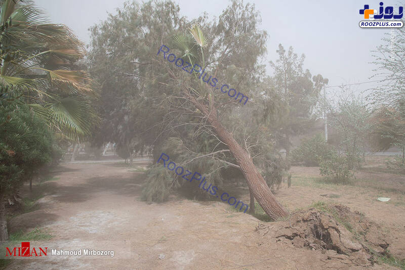 وزش باد و طوفان شدید در زاهدان+عکس