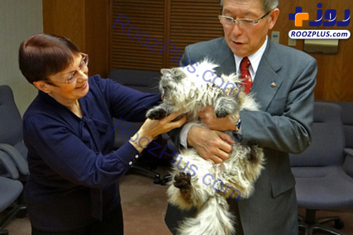گربه ارسالی پوتین به ژاپن قرنطینه شد!+عکس